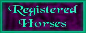 Registered Horses
